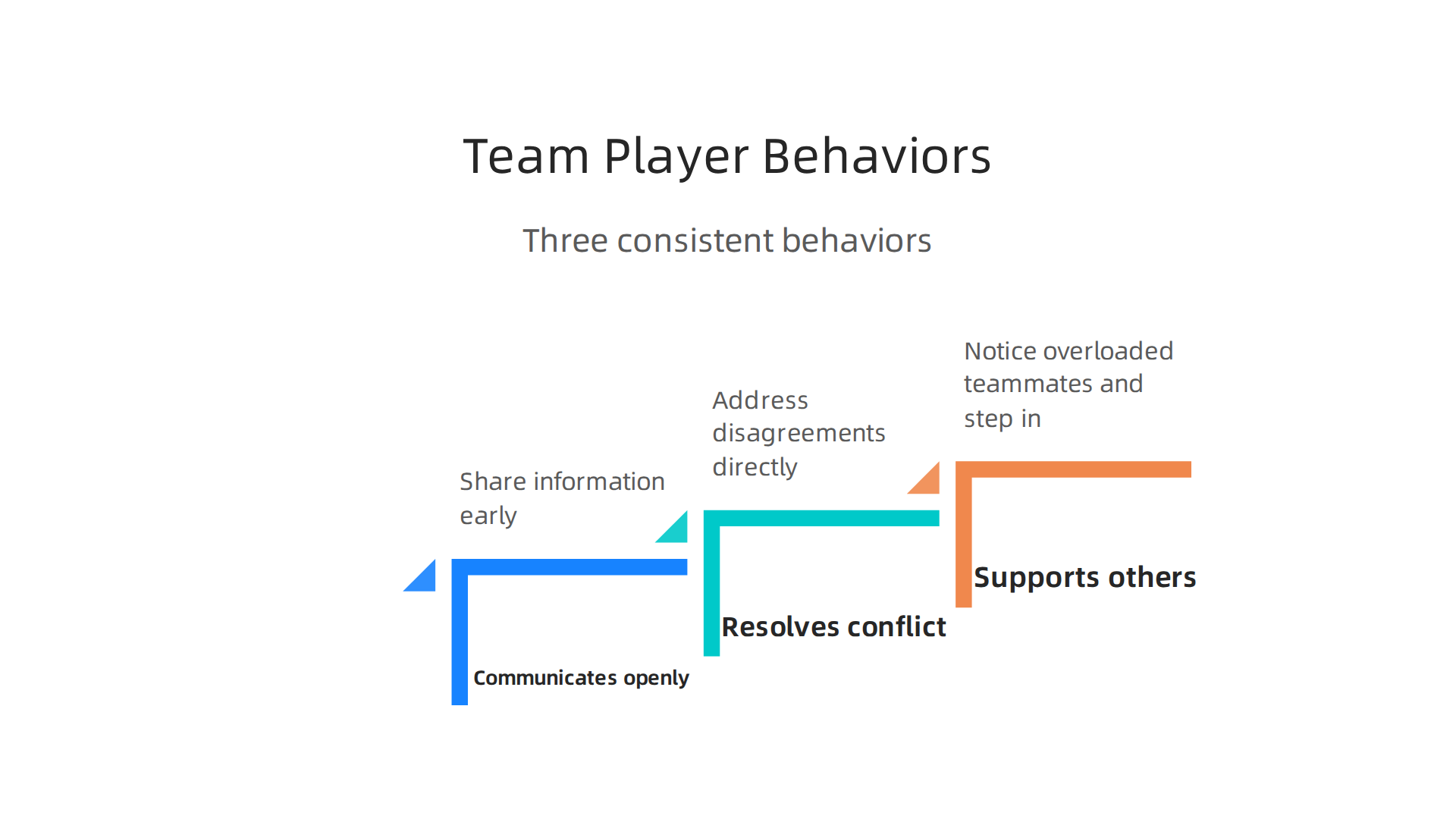 Essential behaviors that define an effective team member, fostering trust and communication.
